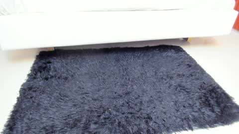 Madame Carla  online show from 6, 4, 2026