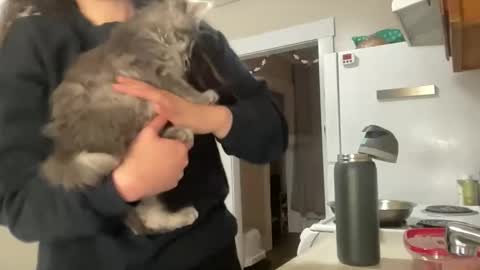 Snapshot of maddyhasyummypussy chatting on 15, 12, 2025 maddyhasyummypussy online show from 15, 12, 2025