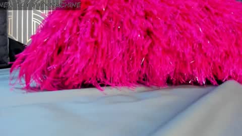   online show from 26, 1, 2025