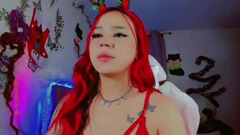 madso x17 online show from 13, 12, 2024