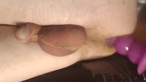 maestro2017 online show from 7, 3, 2025