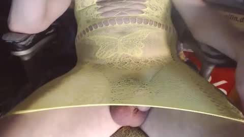 maestro2017 online show from 31, 1, 2026