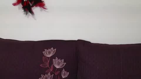 magic door open online show from 30, 10, 2025