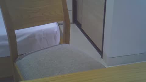 Snapshot of magicstick3003 chatting on 30, 12, 2024 Eli online show from 30, 12, 2024