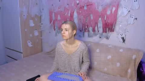 Your kitty online show from 3, 12, 2024