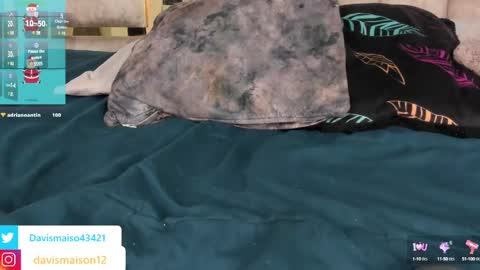 Maison Davis online show from 12, 12, 2024