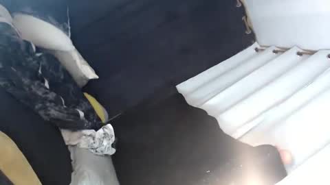 Lei online show from 12, 1, 2025