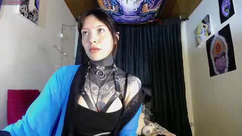 Alice Asylum online show from 6, 12, 2024