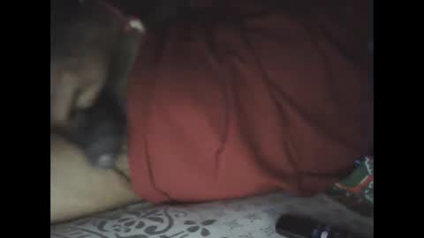 Sree0703 online show from 24, 2, 2025