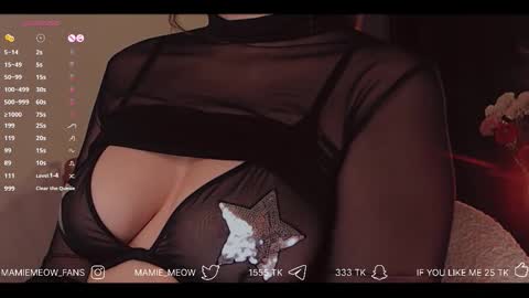 Snapshot of mamiemeow chatting on 4, 12, 2025 Your Miss Alice online show from 4, 12, 2025
