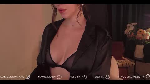 Snapshot of mamiemeow chatting on 3, 2, 2026 Your Miss Alice online show from 3, 2, 2026