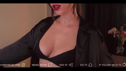 Snapshot of mamiemeow chatting on 17, 2, 2026 Your Miss Alice online show from 17, 2, 2026