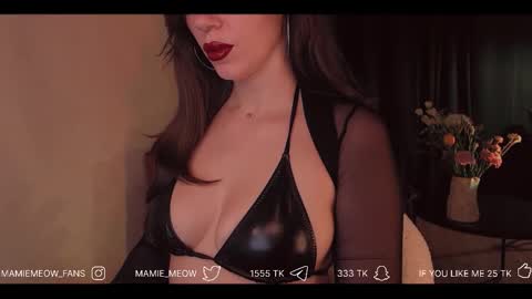 Snapshot of mamiemeow chatting on 27, 2, 2026 Your Miss Alice online show from 27, 2, 2026