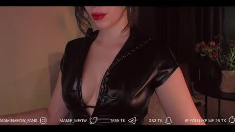 Snapshot of mamiemeow chatting on 1, 4, 2026 Your Miss Alice online show from 1, 4, 2026