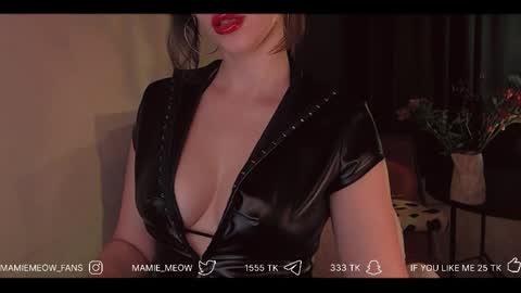 Snapshot of mamiemeow chatting on 1, 4, 2026 Your Miss Alice online show from 1, 4, 2026