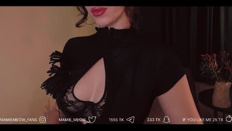 Snapshot of mamiemeow chatting on 3, 4, 2026 Your Miss Alice online show from 3, 4, 2026