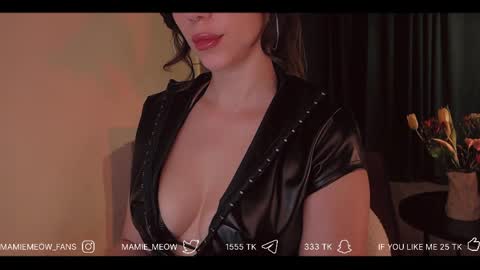 Snapshot of mamiemeow chatting on 4, 4, 2026 Your Miss Alice online show from 4, 4, 2026