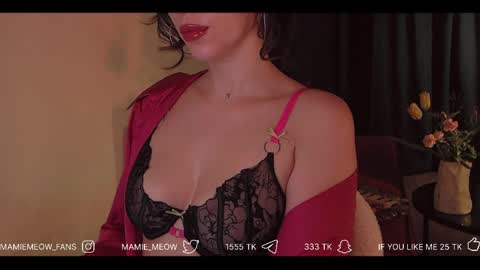 Snapshot of mamiemeow chatting on 7, 4, 2026 Your Miss Alice online show from 7, 4, 2026