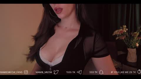 Snapshot of mamiemeow chatting on 10, 4, 2026 Your Miss Alice online show from 10, 4, 2026