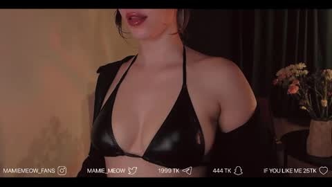 Snapshot of mamiemeow chatting on 15, 4, 2026 Your Miss Alice online show from 15, 4, 2026