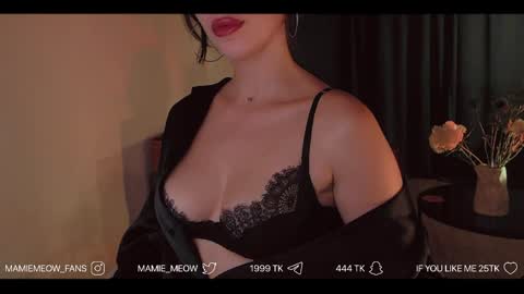 Snapshot of mamiemeow chatting on 5, 6, 2026 Your Miss Alice online show from 5, 6, 2026