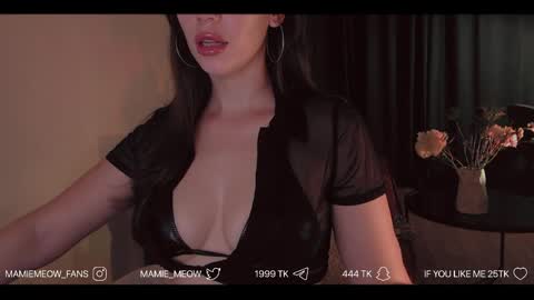 Snapshot of mamiemeow chatting on 6, 6, 2026 Your Miss Alice online show from 6, 6, 2026