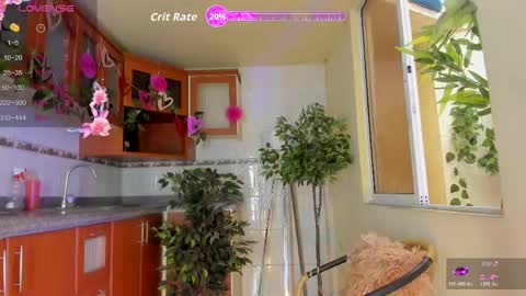 MARA  online show from 20, 5, 2026