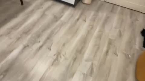 alex marvelxx online show from 5, 2, 2026