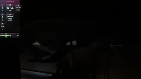 Marco Polo online show from 7, 10, 2025