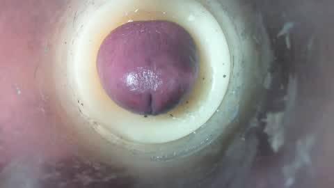 Snapshot of marcsexxy chatting on 8, 2, 2026 Marc online show from 8, 2, 2026