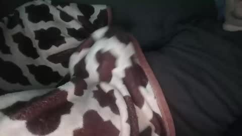 marek online show from 14, 11, 2025