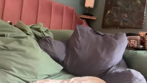 Elle online show from 24, 4, 2026