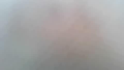 margotshorse online show from 13, 3, 2026