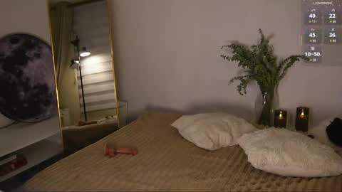 M. online show from 28, 4, 2026