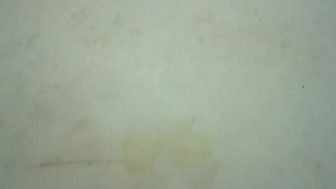 mariah_lovely online show from 4, 7, 2026