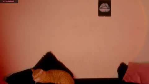 mariana williams online show from 22, 2, 2025