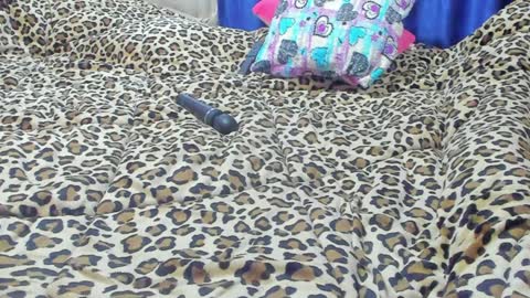 Marie   online show from 23, 1, 2025