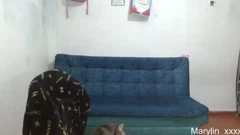  Marilyn  online show from 18, 6, 2026