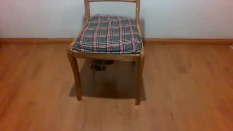 Maripaula369 online show from 22, 2, 2025