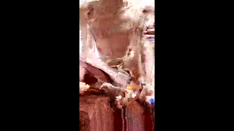 marki_2816 online show from 23, 2, 2026