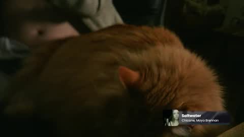 marnieccc online show from 21, 2, 2026