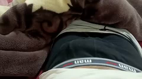 marocreda33 online show from 30, 1, 2025