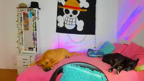 mary online show from 18, 4, 2026