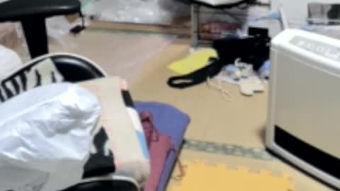 masayann online show from 19, 12, 2024