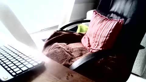 Snapshot of maskime59 chatting on 9, 12, 2024 maskime59 online show from 9, 12, 2024