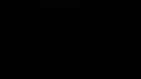 Marl online show from 16, 1, 2026