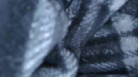 alex online show from 28, 3, 2026