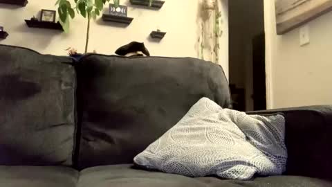 Snapshot of masturbationsession69 chatting on 8, 1, 2026 masturbationsession69 online show from 8, 1, 2026