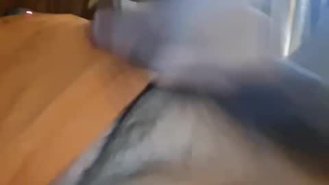 masturbator469658 online show from 13, 1, 2026