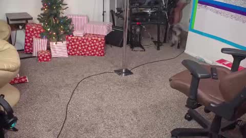 Snapshot of mattcashxxx chatting on 14, 12, 2024 Matt Cash online show from 14, 12, 2024